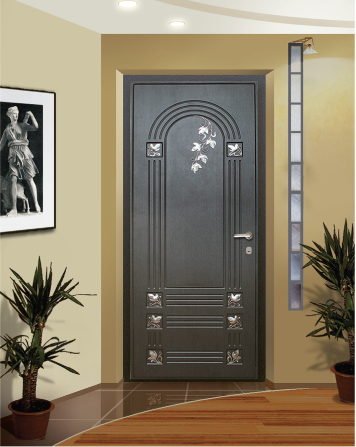 Плитка двери купить. Argus двери входные. Красивые входные двери в квартиру. Красивые металлические входные двери. Входные металлические двери в интерьере.